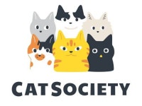 고양이처럼 독립적이고 자유롭게 게임 만든다. ‘던전 인’ 만든 캣소사이어티