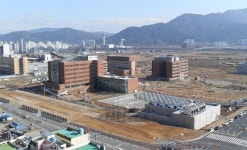 조국 딸 추정인물 합격수기 유포