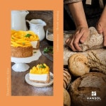 제과제빵전문학원, ㈜한솔요리학원 6월 디저트 원데이클래스에서 제과제빵자격증 취득과정까지 개설