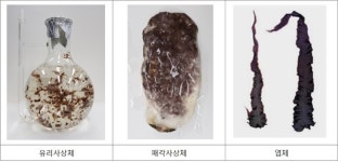 국립수산과학원, 현장맞춤형 김 종자 유통관리 서비스 개시