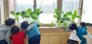 울진군 시설관리사업소, 관내 초등학교에 학습용 나비알 분양