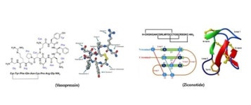 [특징주]애니젠, 기술혁신 개발사업 전략과제 선정...상승세