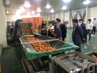함안군, 농축수산물 해외서 인기