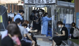 대전, 도장·학원 관련 등 37명 신규 확진...누적 3647명