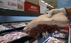 강원 인제 양돈농장서 ASF 추가 확진…정부 돼지고기 수급 영향 없어