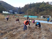 성주군, 용암면 지역사회보장협의체 콩 수확