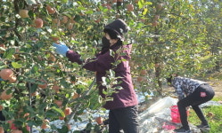 경주시 농업기술센터, 도시민 대상 농촌 체험교육 실시