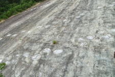 청송군 신성계곡(길안천), 한국관광공사 봄시즌 비대면 안심관광지에 선정