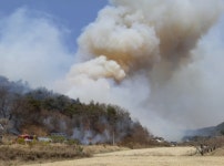 산림청, 경북 봉화 산불에 산불 2단계 발령
