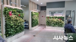 예천군, 공기정화 식물 활용 그린오피스 조성...식물테라피로 힐링 효과 톡톡