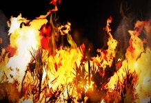 경북 봉화 통신중계탑 불…야산 번졌다가 50분만 진화