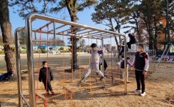 용인 백암초수정분교, 트리클라이밍 체험학습...안전교육, 매듭법 등