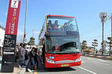 외국인이 가볼 만한 백악기 호수에서 태어난 부산 태종대