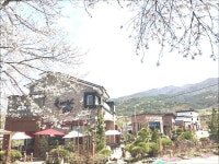 자연풍경 배경으로 한 전주 근교 금산사카페 솔바람소리  