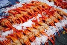 가을철 힐링여행지 포항풀빌라펜션 ‘꾸스풀빌라’