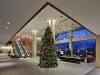 롤링힐스 호텔, 자녀와 함께 하는 특별한 크리스마스‘롤리스 마스 패키지’ 출시