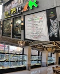 전주 강아지·고양이 분양 전문 ‘야옹아멍멍해봐’, 크리스마스 이벤트 할인