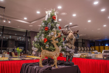 여수 오션힐 호텔, 생맥주 무제한 안주 뷔페 “밤바다 야경 빛이 나는 축제”