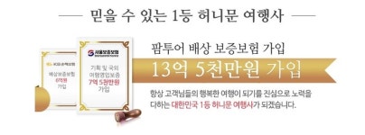 허니문여행사 팜투어 창립 17주년(9)  직영·직거래 신혼여행 박람회라는 신기원 달성