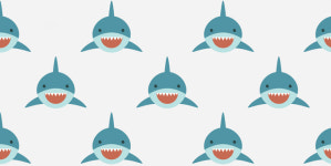 서울 메리어트 이그제큐티브 아파트먼트 (여의도 메리어트 호텔), 리틀 상어 패키지 