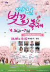 2019 안양 충훈벚꽃축제 개최