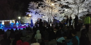 봄바람에 실린 풍류, 동두천시 ‘2019 벚꽃맞이 작은음악회’ 개최