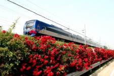 (단독기획) 힐링투어라인, 공항철도와 함께 하는 차이나타운 & 양떼목장 여행 출시