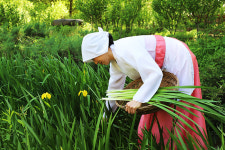한국민속촌, “창포물에 머리 감고 가세요~   ‘양기철철 단오’ 진행
