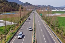 국도 25호 밀양대로 가로수 명품 도로 탄생 했다.