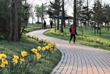 김제시 시민문화체육공원, 봄이 오나 봄