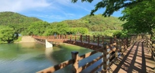 김해시, 창원 잇는 진영 우동누리길 조성해