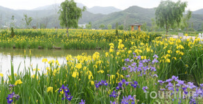 ‘거창창포원 수변공간 생태자원화사업’ 기본계획 보고회 개최
