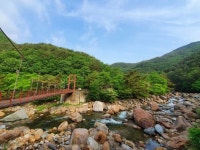 훌쩍 다가온 여름, 산청 지리산 대원사 계곡길 걸어볼까