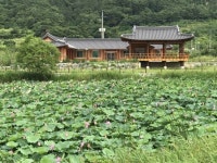 농촌체험휴양마을에서 언택트 여행으로 힐링 한다.