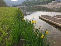 생태하천 복원의 힘…시민 휴식 명소로 거듭난 상주 북천