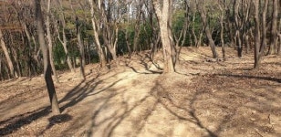 전주시 덕진구 건지산 등산로 안전하고 쾌적하게
