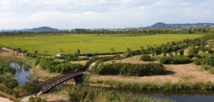 김포시 야생조류생태공원, 식생유지관리 실시해