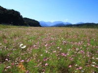 양양군, 가을 정취 느낄 수 있는 다양한 포토존 조성