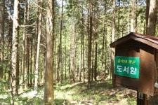 편백숲 산림욕장, 힐링명소 새 단장