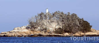 속초시, 새들의 섬 조도 생태조사 및 환경정화활동 추진