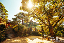 서울관광재단X서울시, 서울 시민이 가고 싶은 안전·힐링 관광지 10선 소개