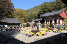 금산군, 관광지 방역·관리요원 45명 배치