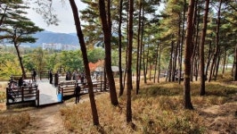 숲박물관에 펼쳐진 숲속마켓 언텍트 힐링상품으로 인기