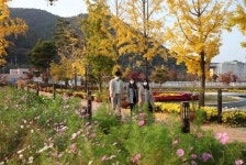 가을로 물든 영동 노근리평화공원, 낭만과 정취 가득