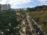 포항 GreenWay 프로젝트 추진 5년간의 성과 “포항이 확 바뀌었어요”