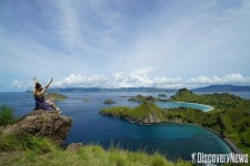 [칼럼] #화수분인도네시아 . 멸종위기지만 그래도 쎈녀석 코모도 왕도마뱀