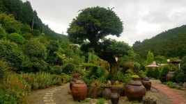 통영 도산일주도로따라 떠나는 민간정원 탐방