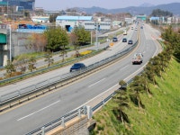 ‘주민, 관광객, 학생 위한 특색 있는 숲 만들기’태안군, 도시숲ᆞ명상숲 조성 사업 추진!