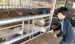 충주시 수안보 곤충박물관, 동물교감 치유농장으로 사업 확장