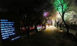 광명시, 빛으로 물드는 안양천 야경의 아름다움